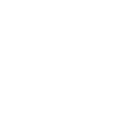 Ultrasound icon