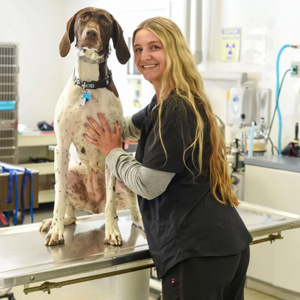 Portrait of Emily, veterinary assistant