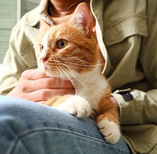 Photo for Love Deserves Protection at German Flatts Veterinary Clinic