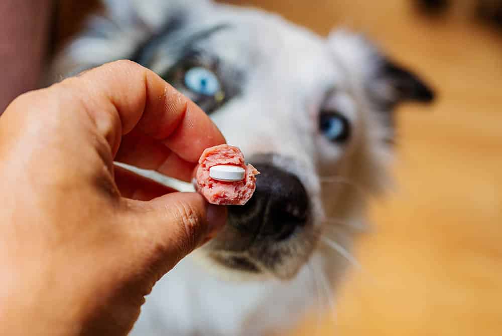Photo for Fully Stocked Pharmacy at German Flatts Veterinary Clinic