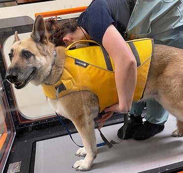 Photo for Improving Life and Happiness at German Flatts Veterinary Clinic