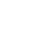 X-Ray icon